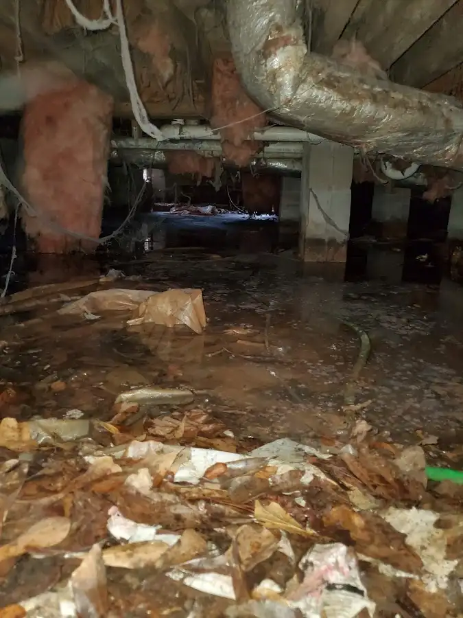 Crawl space flood assessment for Leak Detection & Repair in Rose Hill