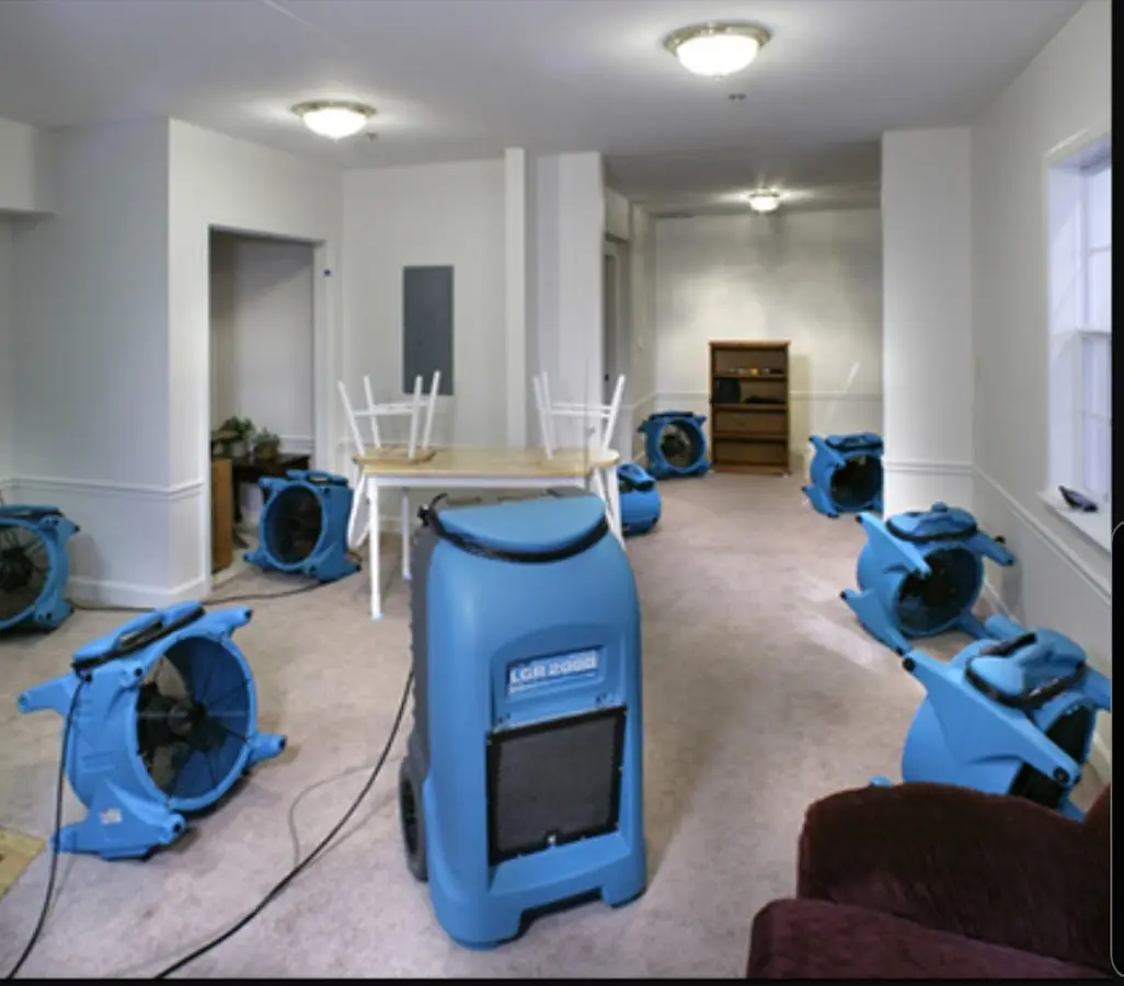 Air movers and dehumidifier setup for Water Extraction & Removal in Rose Hill
