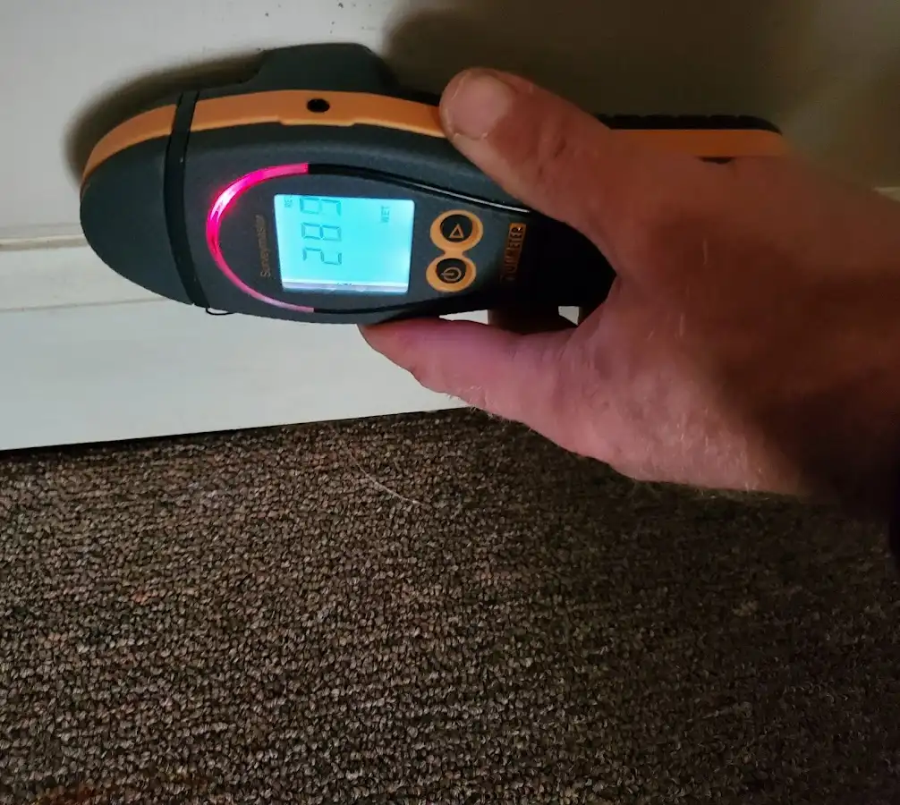 Moisture detection at baseboard during Sewage Cleanup & Sanitation in Rose Hill